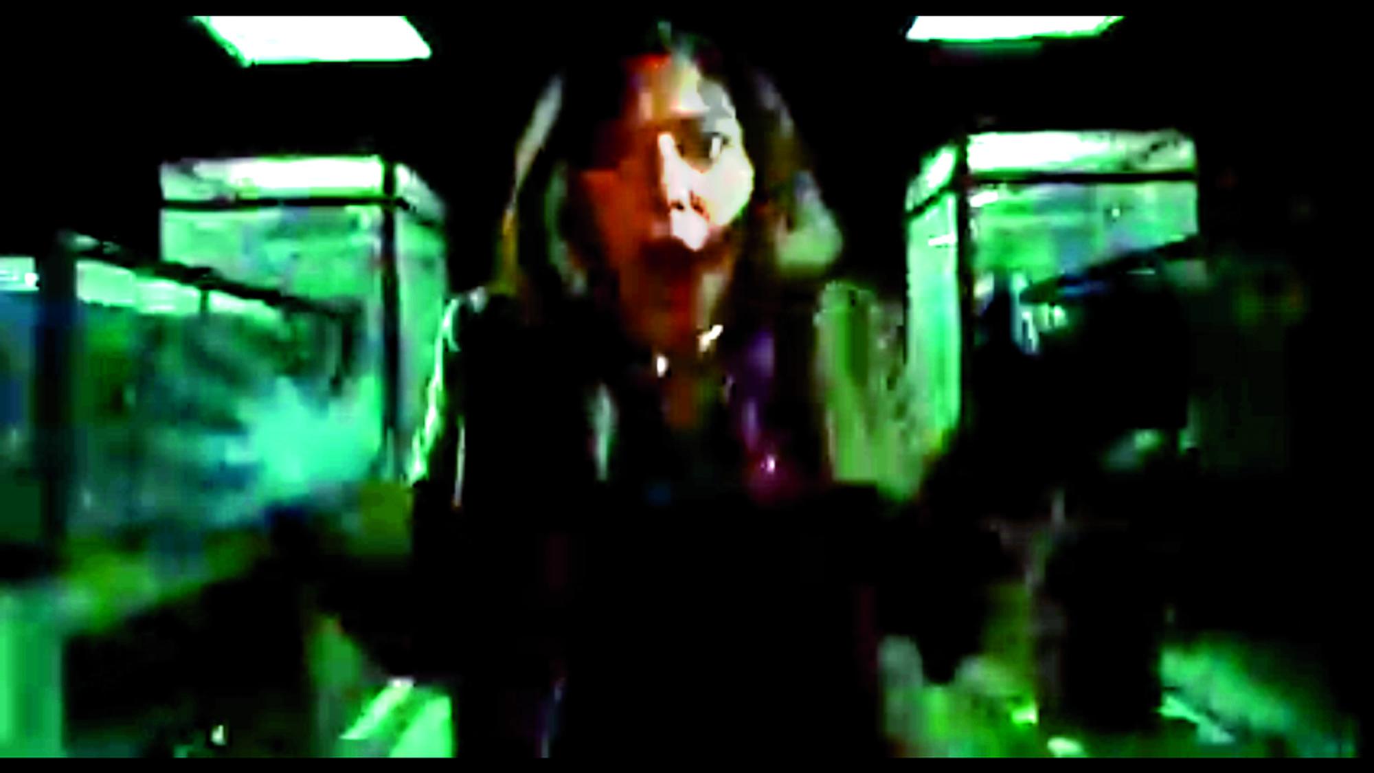 Radical ecologistas Hollywood 4